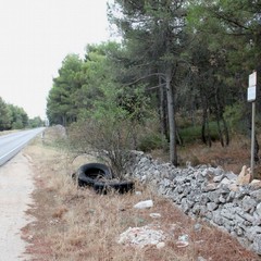 Parco o discarica?