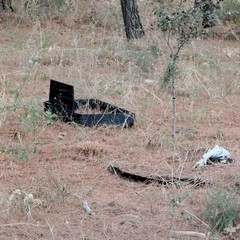 Parco o discarica?