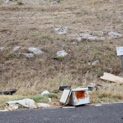 Parco o discarica?