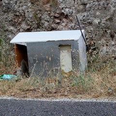 Parco o discarica?