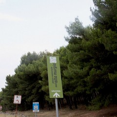 Parco o discarica?