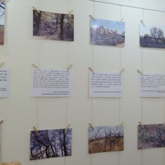 mostra bosco città