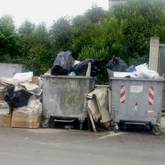 Rifiuti in zona Pip 2014