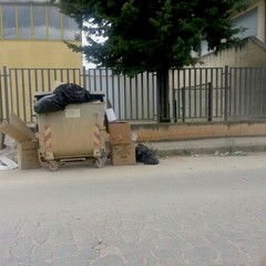 Rifiuti in zona Pip 2014