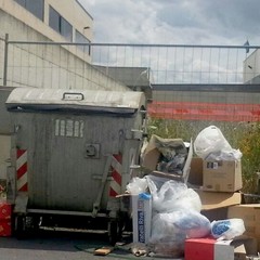 Rifiuti in zona Pip 2014