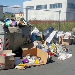 Rifiuti in zona Pip 2014
