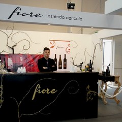 foto tra gli espositori Fiera 2014