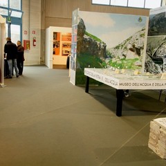 foto tra gli espositori Fiera 2014