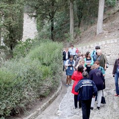 Educational local tour "Adristorical Lands"