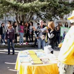 Educazione ambientale