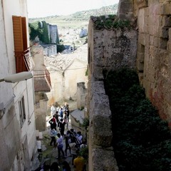 Educazione ambientale