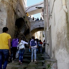 Educazione ambientale