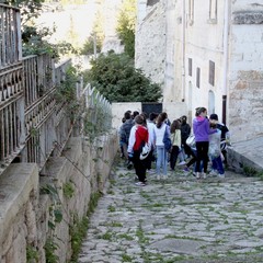 Educazione ambientale