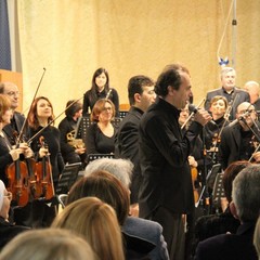 Orchestra