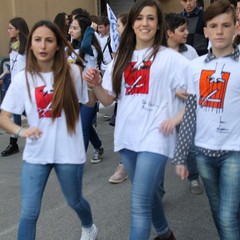 Manifestazione legalità