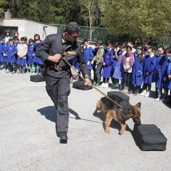 Circolo Didattico "Savio-Fiore"