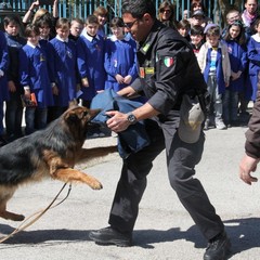 Circolo Didattico "Savio-Fiore"