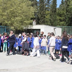 Circolo Didattico "Savio-Fiore"