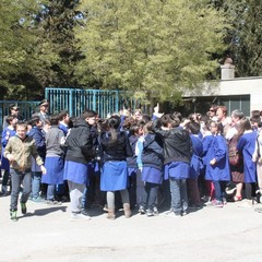 Circolo Didattico "Savio-Fiore"