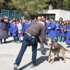 Circolo Didattico "Savio-Fiore"