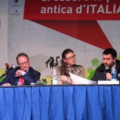 gemellaggio con ortelle
