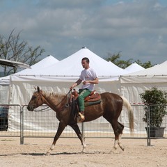 Corso all’anello, Fiera San Giorgio 2014