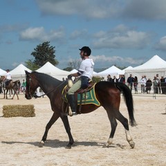 Corso all’anello, Fiera San Giorgio 2014