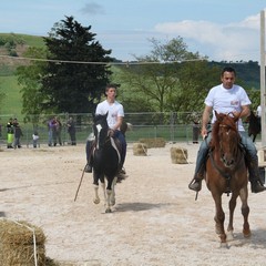 Corso all’anello, Fiera San Giorgio 2014