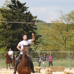 Corso all’anello, Fiera San Giorgio 2014