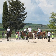 Corso all’anello, Fiera San Giorgio 2014