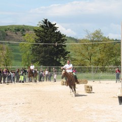 Corso all’anello, Fiera San Giorgio 2014