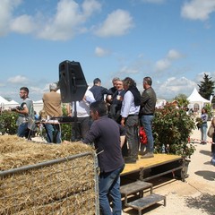 Corso all’anello, Fiera San Giorgio 2014