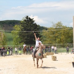 Corso all’anello, Fiera San Giorgio 2014