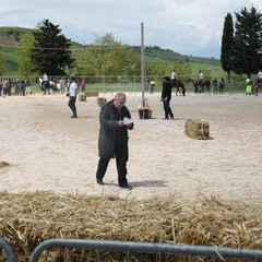Corso all’anello, Fiera San Giorgio 2014