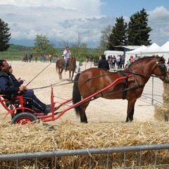 Corso all’anello, Fiera San Giorgio 2014