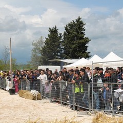 Corso all’anello, Fiera San Giorgio 2014