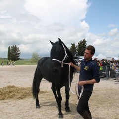 Corso all’anello, Fiera San Giorgio 2014