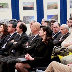 Fiera San Giorgio 2013