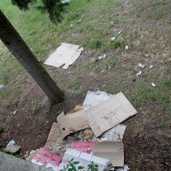 Il degrado in pineta