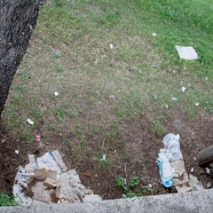 Il degrado in pineta