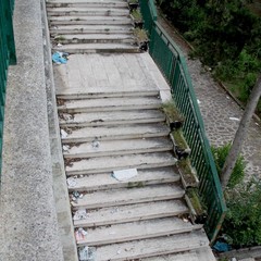 Il degrado in pineta