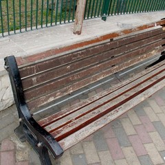 Il degrado in pineta