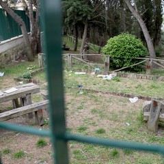Il degrado in pineta