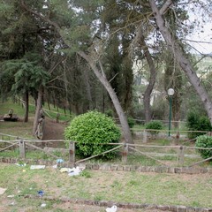 Il degrado in pineta