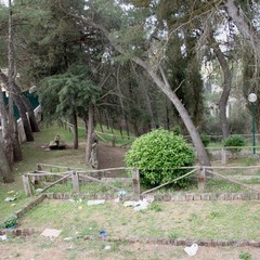 Il degrado in pineta