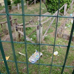 Il degrado in pineta