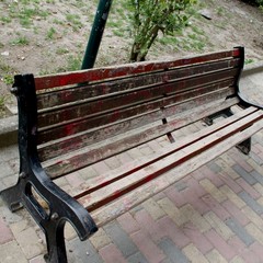 Il degrado in pineta