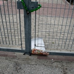 Il degrado in pineta