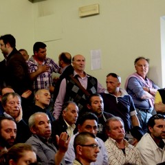 consiglio comunale sul lavoro