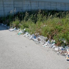 viale pasteur 2014